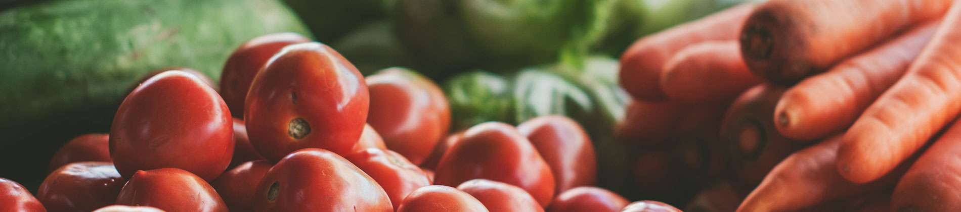 Skralderen Stine: “Jeg bruger kun 200 kroner på mad”